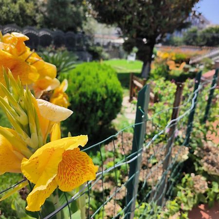 Appartamento I Giardini Di Plinio - Elegante E Luminoso. Boscoreale Esterno foto