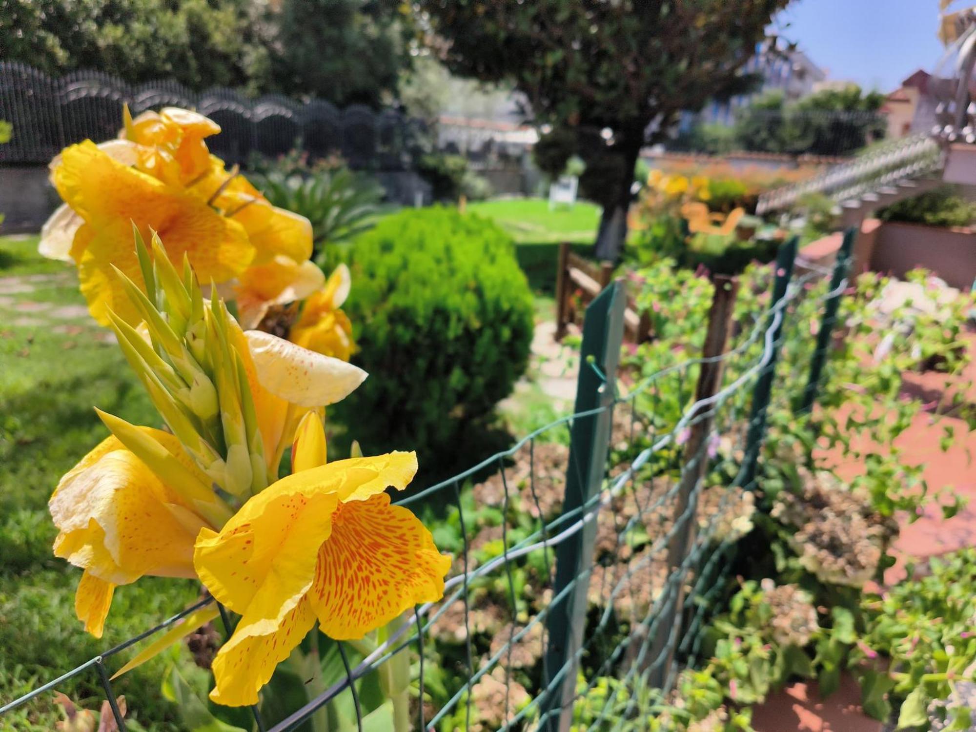 Appartamento I Giardini Di Plinio - Elegante E Luminoso. Boscoreale Esterno foto