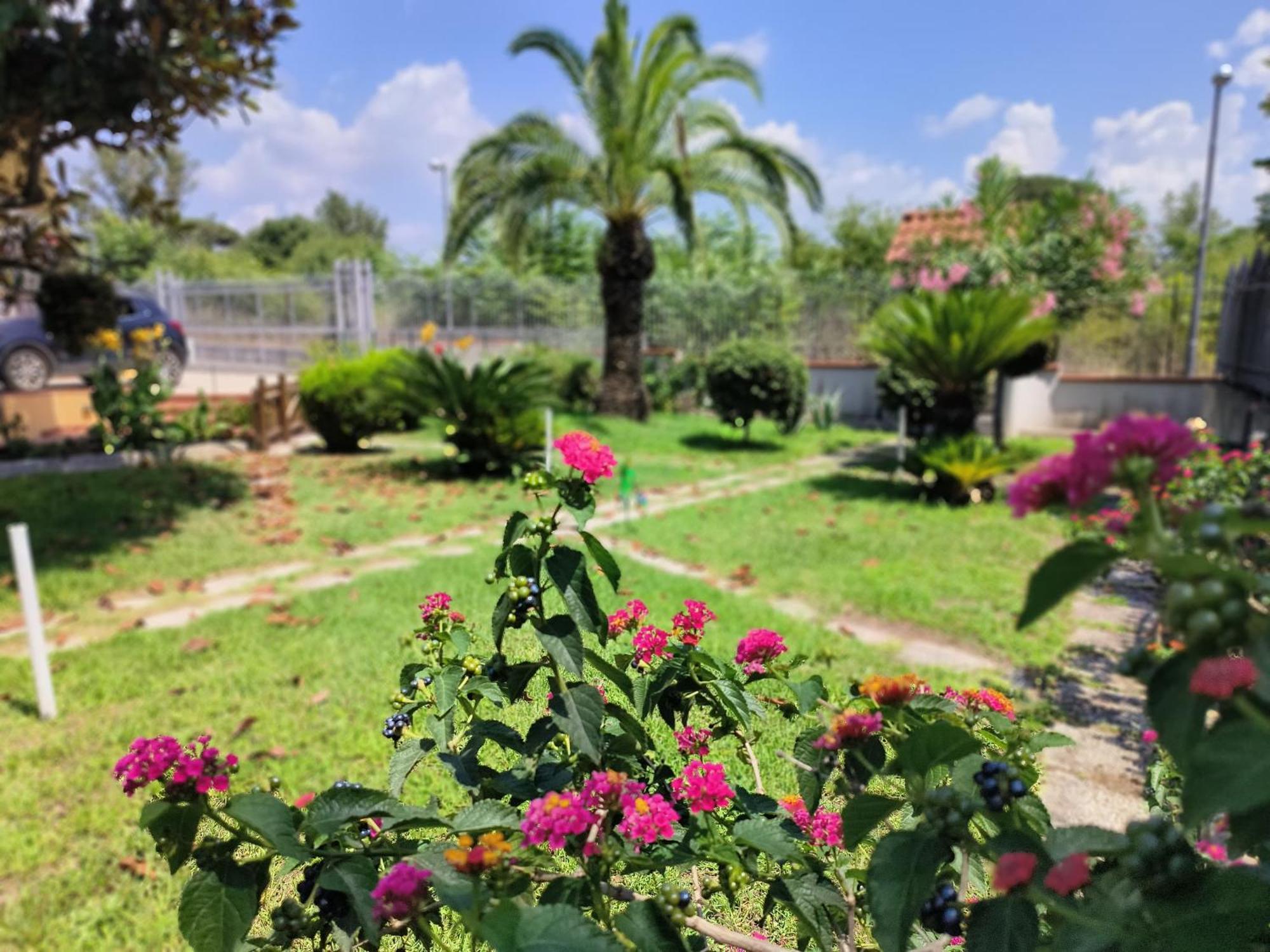 Appartamento I Giardini Di Plinio - Elegante E Luminoso. Boscoreale Esterno foto